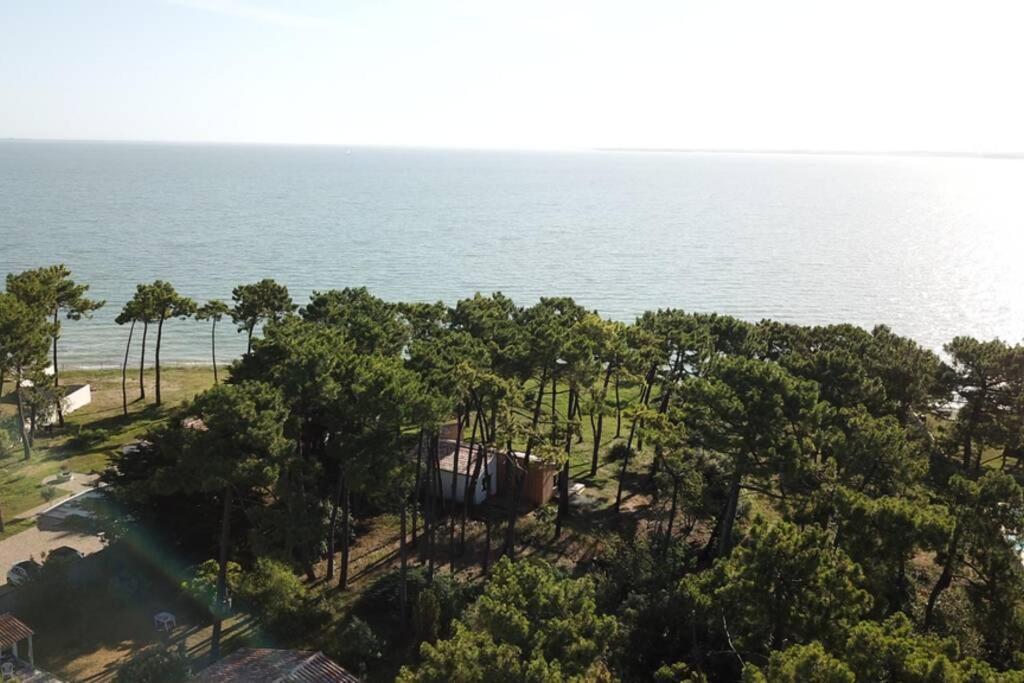 Villa Ile De Re Avec Acces Mer Du Jardin Rivedoux-Plage Eksteriør bilde